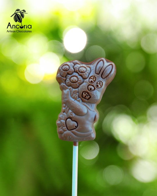 Çiçekli Tavşan Lolipop