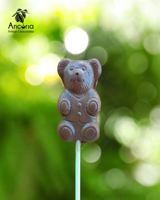 Ayıcık Figürlü Lolipop