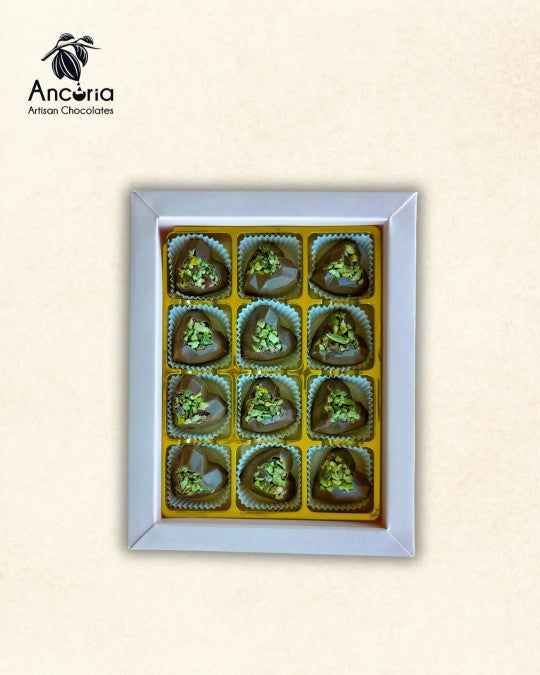 Ancoria Pistacchio Exclusive